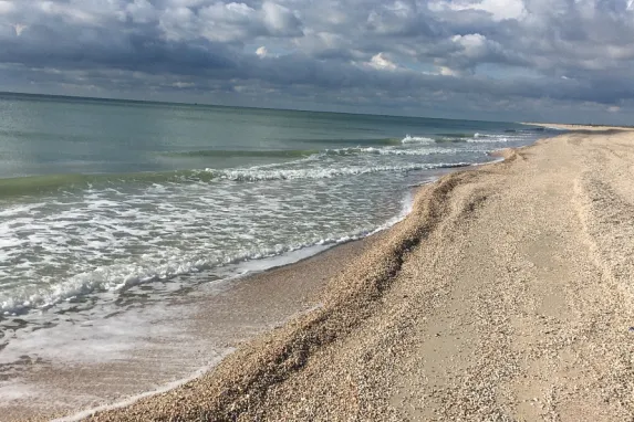 Чем привлекательно Азовское море