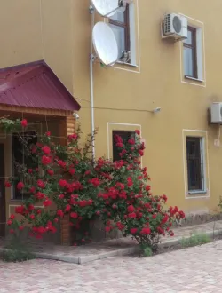 База отдыха «Акелла»